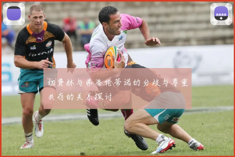 切费林与弗洛伦蒂诺的分歧与尊重共存的关系探讨
