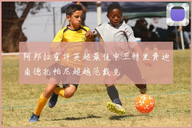 阿邦拉霍评英超最佳中卫特里费迪南德孔帕尼超越范戴克