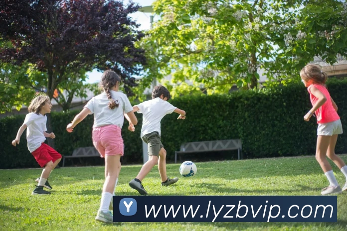 App Interface Preview